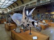 galerie de paleontologie et de anatomie comparee 12-2015 8253